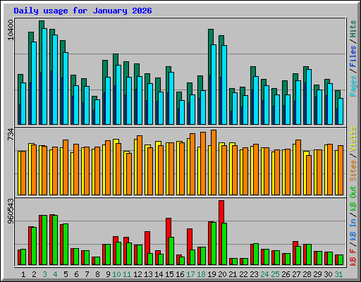Daily usage for January 2026