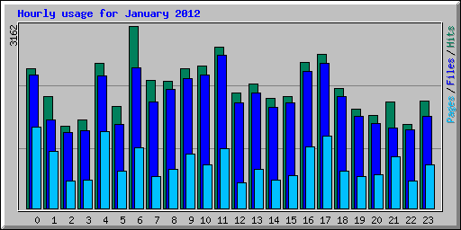 Hourly usage for January 2012