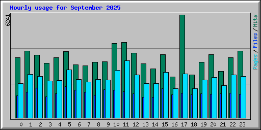 Hourly usage for September 2025