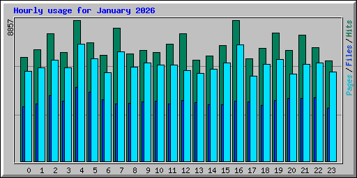 Hourly usage for January 2026