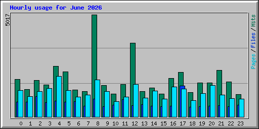 Hourly usage for June 2026